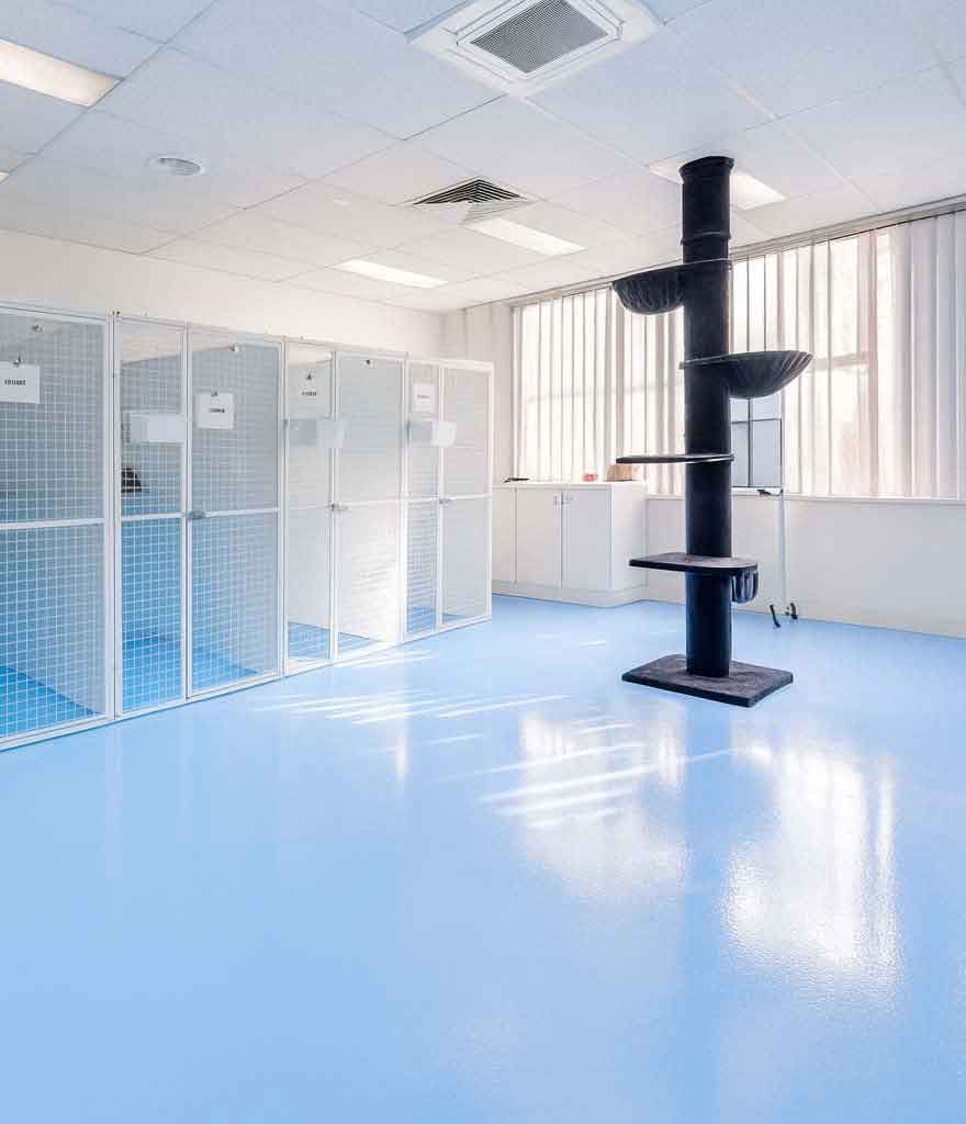 Departure Pets - Pet Departure Lounges - Cattery