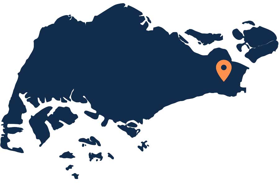 A map of Singapore with pet travel airport locations